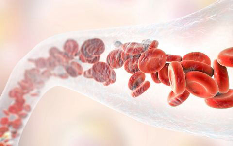 Blood vessel with blood cells illustration