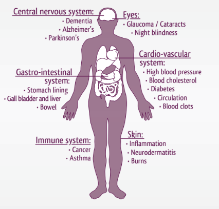 benefits of vegetables and fruits for the human body