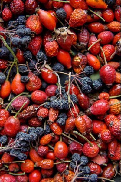 red and blue dried berries including Aronia