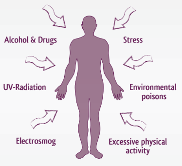 lifestyle factors that damage human cells