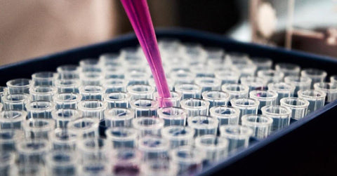 Laboratory