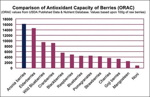 comparison antioxidant capacity of berries (orac)