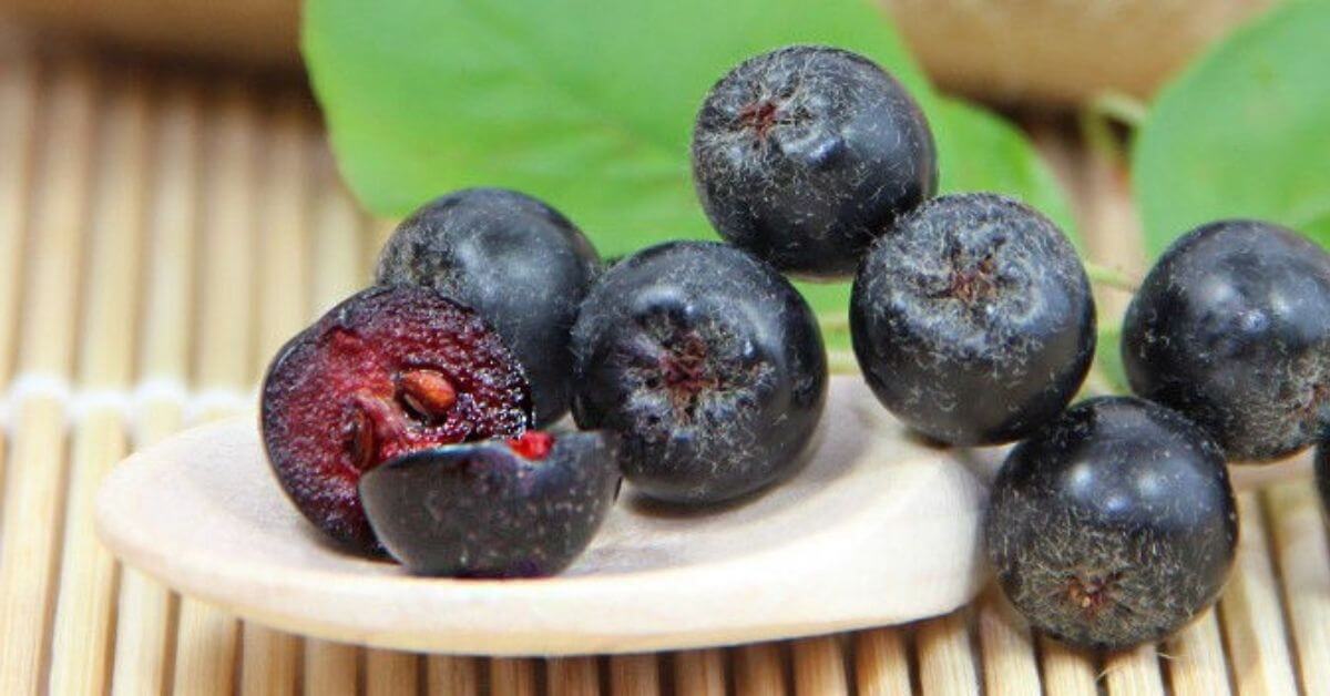 Aronia berries inside cut in half